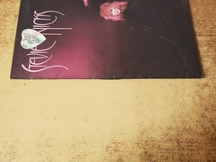 1980s VG Stevie Nicks – The Wild Heart 90084 LP33 see notes!