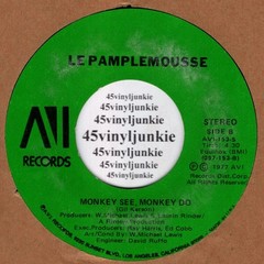 Le Pamplemousse NM disco 45 rpm “Le Spank” on AVI Records