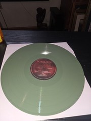 LIGHTS – Skin & Earth Acoustic Vinyl LP Olive Green