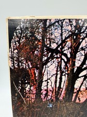 Black Sabbath – Self Titled Debut – LP Album Vinyl Vintage WS 1871