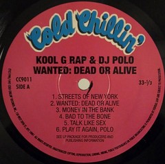 Kool G Rap & DJ Polo Wanted: Dead Or Alive Vinyl LP Record IN SHRINK RARE!!