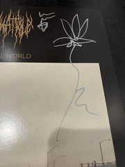 Chat Pile – Cool World *SIGNED BY BAND* Vinyl LP Autographed Record