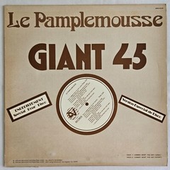 R&B – LE PAMPLEMOUSSE – GIMME WHAT YOU GOT – AVI RECORDS ORIGINAL PRESSING