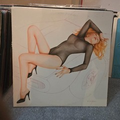 Classic Rock LP Album Jackets Sleeves Covers Only – No Vinyl Records – You Pick