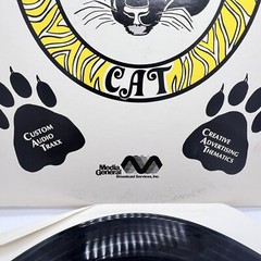 UNKNOWN ARTIST: The Cat – Custom Audio Traxx /Creative Advertising Thematics