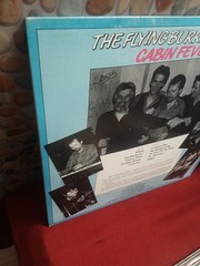 The Flying Burrito Bros. Cabin Fever Vg+- NM Relix Records Vinyl LP Original