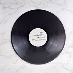 David Gray – A Century Ends 12″ Vinyl Album LP 1993 EX