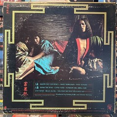 Tommy Bolin – Private Eyes 1976 LP Hard Pop Rock 12″ Vinyl Record Deep Purple