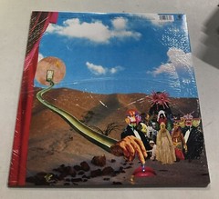 Teenage Wrist – Still Love LP On Vinyl Alternative Rock In Gatefold Cover