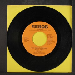 ROB RILEY: cabin fever / i’m a snow plow baby REBOB 7″ Single 45 RPM