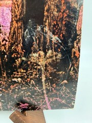 Black Sabbath – Self Titled Debut – LP Album Vinyl Vintage WS 1871