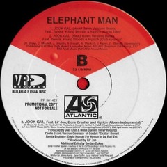 Elephant Man – Jook Gal (Remixes) (12″) (Good (G)) – 3850627927