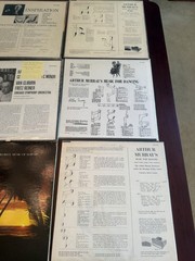 Lot Of 20 Vintage Vinyl Collection Various RCA Living Stereo & Red Seal Desc