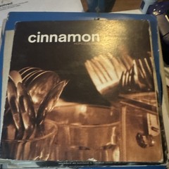 Cinnamon Hopeless Case Vinyl Record Black Cardboard Sleeve Artist Vinyl Music