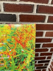 🌀Jhene Aiko Picture Disc – Trip 2LP Limited /2000 Record Store Day RSD – RARE🌀