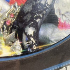 Alice Cooper Hey Stoopid vinyl in frame One Of A Kind.
