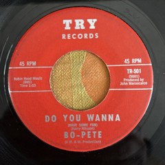 Harry Nilsson Bo-Pete Do You Wanna / Groovy Little Suzie US 45 Garage Rock