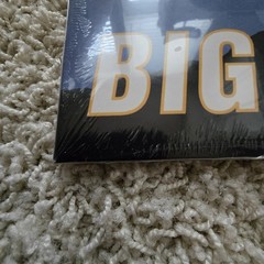 Will Smith Big Willie Style 2xLP Urban Outfitters Reissue New Sealed 2019 Rare