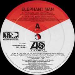 Elephant Man – Jook Gal (Remixes) (12″) (Good (G)) – 3850627927