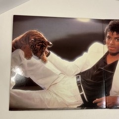Michael Jackson Thriller (1982) Vinyl Record, Lyric Sleeve