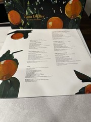 Lana Del Rey Violet Bent Backwards Over The Grass Vinyl
