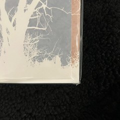 AFI – Decemberunderground IVC Edition – [New, Perfect Mint, Ships Double Boxed]