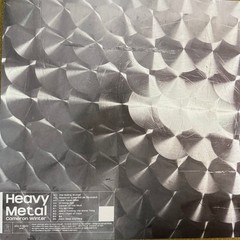 Cameron Winter Heavy Metal Vinyl LP Metallic Silver New Sealed