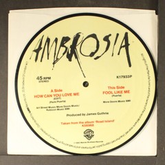 AMBROSIA: how can you love me WB 7″ Single 45 RPM United Kingdom