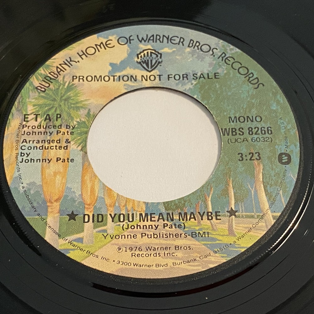 Johnny Pate: Did You Mean Maybe / Make It Funky 45 – Warner Bros. – Disco Funk