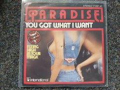 Paradise – You got what I want 7” Single Germany
