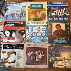14 Caribbean Music Album & Single Lot Dancehall, Steel Drum Haiti Curacao VG
