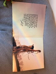 Lainey Wilson Wirlwind Vinyl 2-LP Set Deluxe Edition