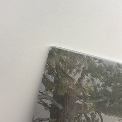 Wisp Pandora Signed Art Card Blood Records Vinyl AUTOGRAPHED
