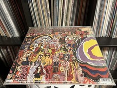 The Paper Garden – The Paper Garden (LP) (Mint (M)) – 4054450414