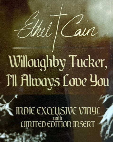 Ethel Cain – Willoughby Tucker 2 x LP LIMITED INDIE VINYL + INSERT – NEW RECORD