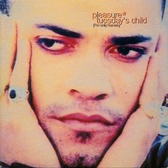 Pleasure – Tuesday’s Child – 12″ Vinyl 1990 NERVT12 – ADZW