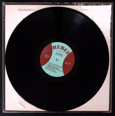 THE GOINS BROTHERS SELF TITLED REBEL RECORDS REBEL RECORDS VINYL LP 139-40W