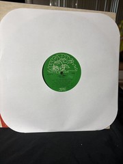 LONNIE BROOKS ”Hot Shot” Vinyl LP