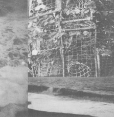 Cremation Lily The Processes and Instruments of Normal Peopl (Vinyl) (UK IMPORT)