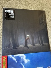 Geese Vinyl Bundle 3D Country Projector Cameron Winter