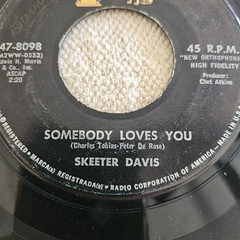 1962 SKEETER DAVIS The End Of The World / SOMEBODY LOVES YOU 7″ VINYL RECORD