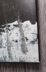 Agalloch – Marrow of the Spirit 2x LP Picture Disc(Sleeve Print Edition ltd.250)