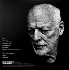David Gilmour – Luck and Strange Colour Vinyl Record LP Album Pink Floyd New!