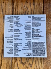 Sholi s/t Quarterstick Vinyl LP w/ lyric insert 2010’s indie/experimental guitar