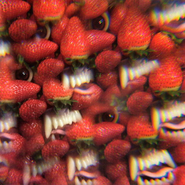 OH SEES ‘Floating Coffin LP coachwhips pink brown fuzz damaged bug Yikes Netmen