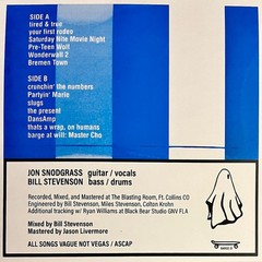 Jon Snodgrass – Barge At Will (LP) (Mint (M)) – 3992514673