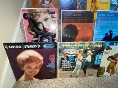EXOTICA / LOUNGE MUSIC VINYL RECORD GRAB BAG! 10 ASST Albums LP Lot, FREE SHIP!