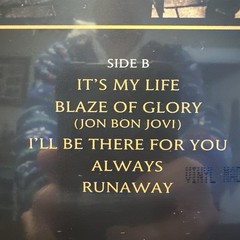 Bon Jovi – Greatest Hits LP on TIGER EYE COLORED Vinyl SEALED with Hype Insert