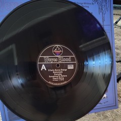 Weyes Blood – Titanic Rising – Vinyl Record