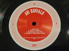 Avi Buffalo – Self Titled – (2010) 1st and only pressing on black vinyl OOP rare